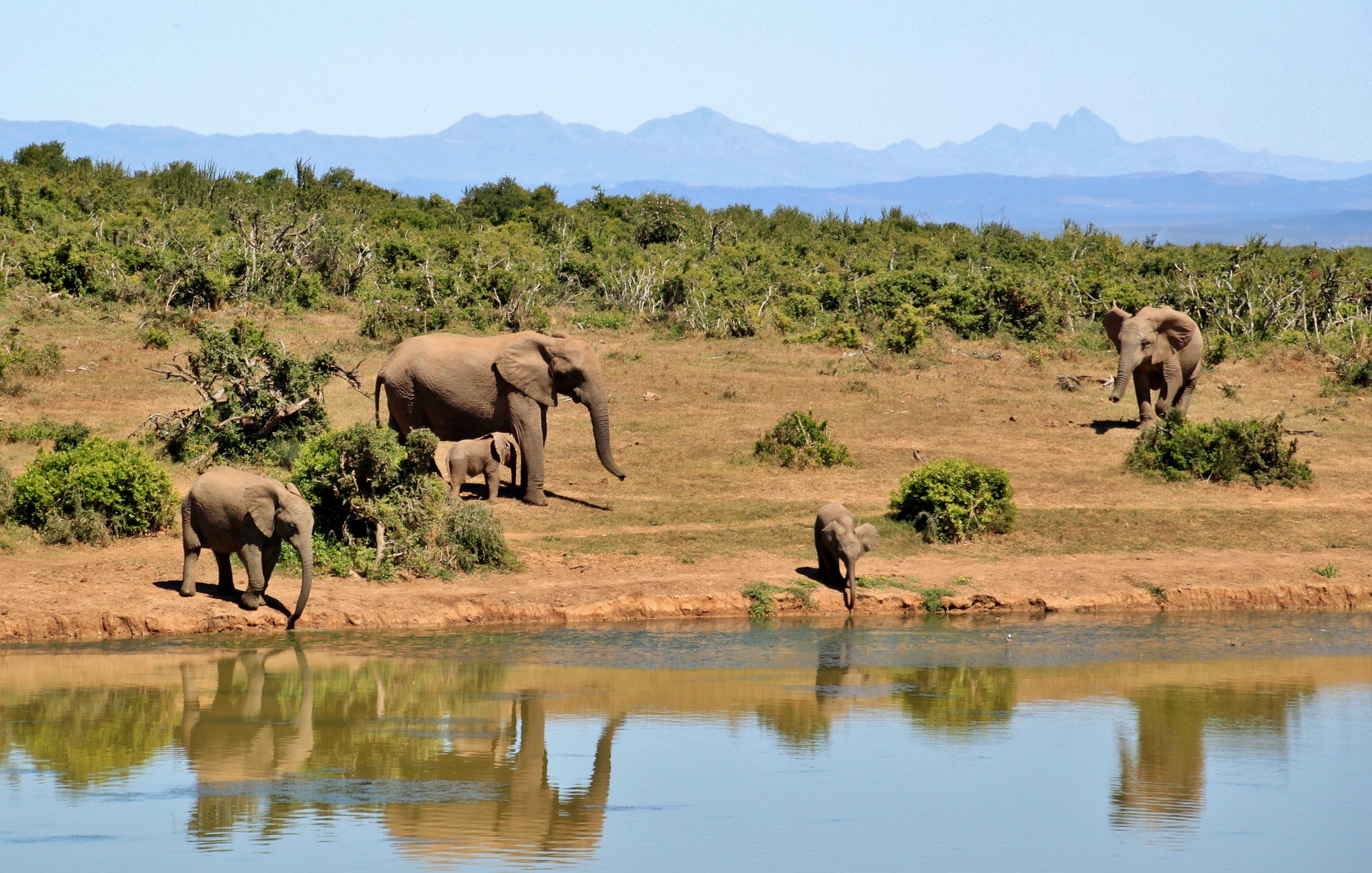Afrika