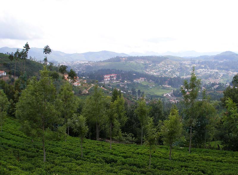 JUGENDFAHRT--OOTY