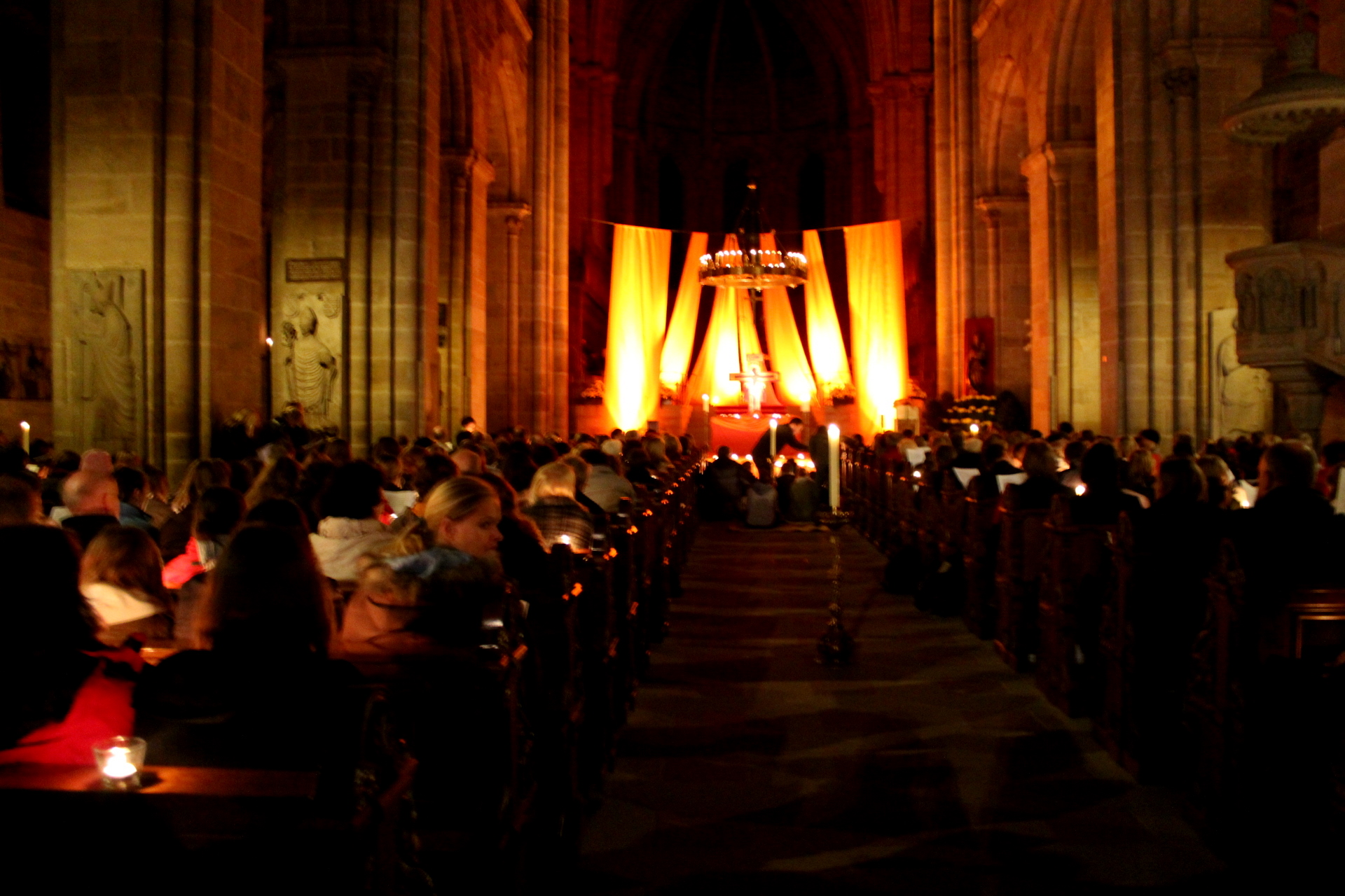 NDL 2011 14