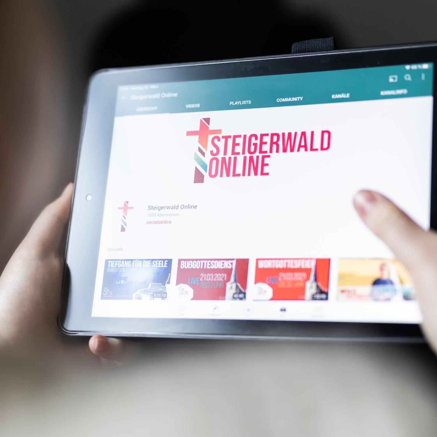 PM31 Steigerwald Online 1.jpg