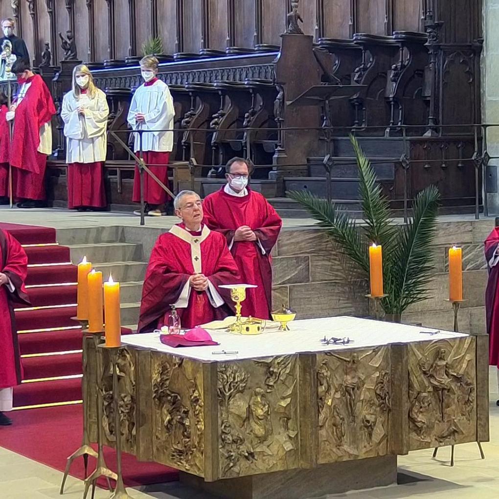 Palmsonntag im Bamberger Dom
