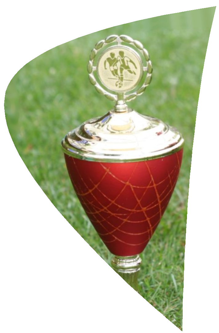 Pokal