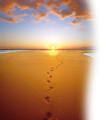 SAND--GLAUBEN--SONNE