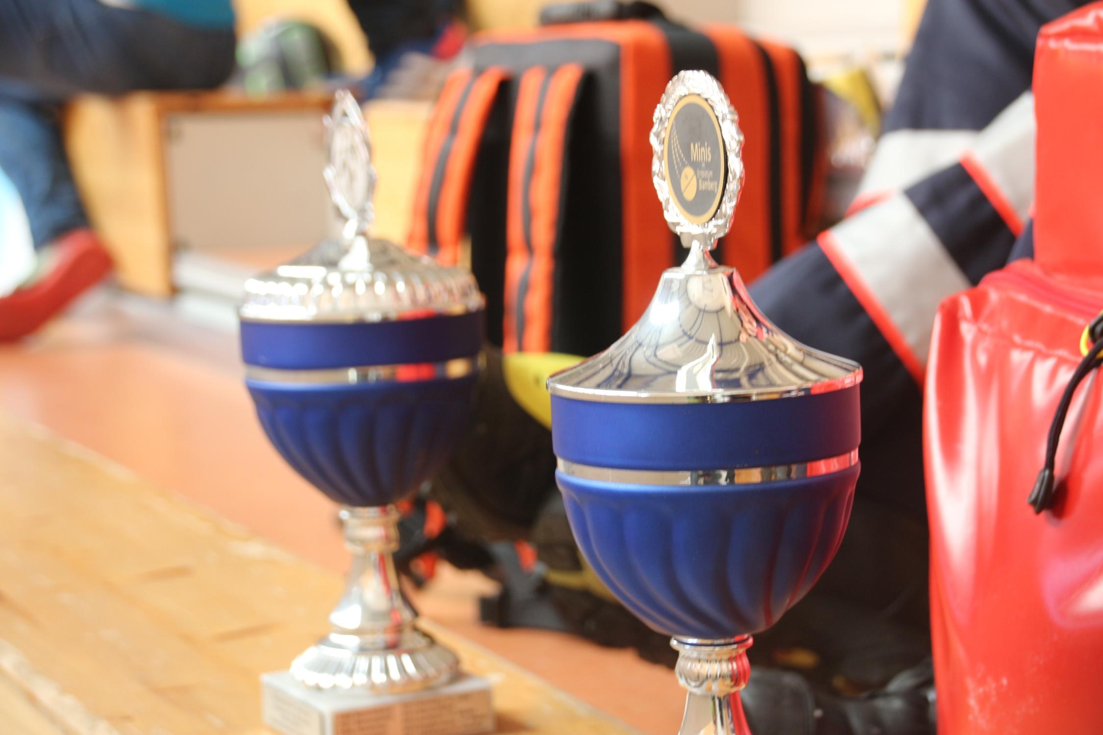 Mini Cup 2019
